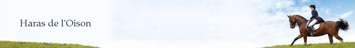 Haras de l'Oison